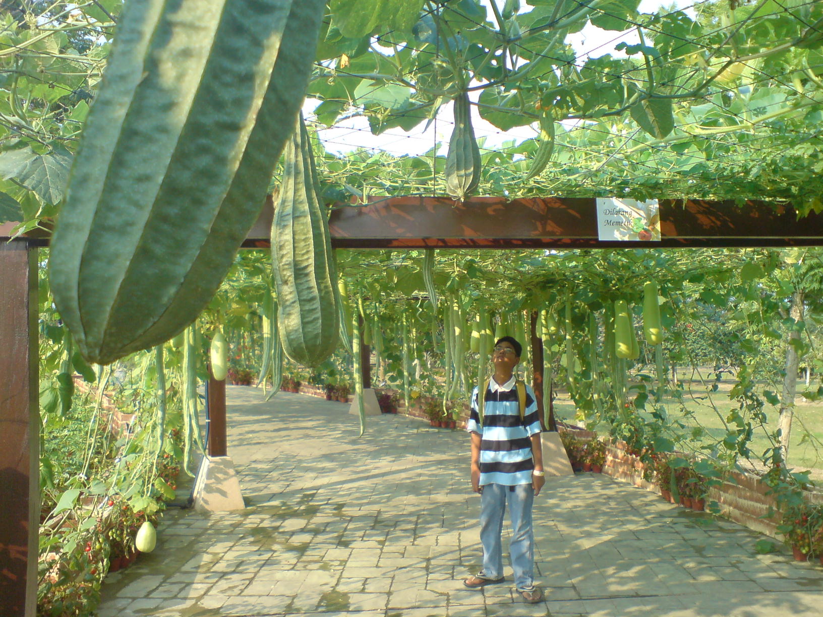 dsc018931