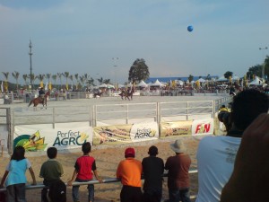 dsc01914