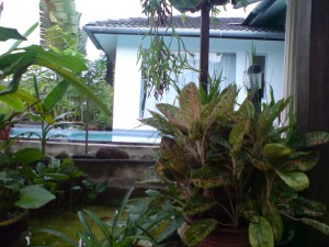 kau ada dsc02664 300x225 Senyum pagi