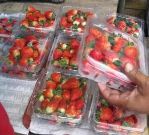 strawberi2 300x273 Sesejuk embun yang menitis