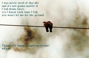 birds Some people cannot understand, a friend you’ve never met. But then I guess they’ve never had a friendship on the net.