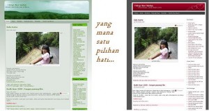 themes kadang² lebih baik jika tiada pilihan...:p