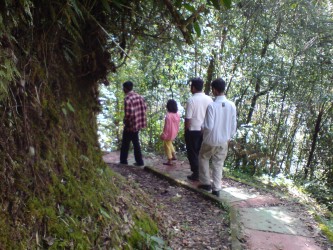 jungle tracking rabinson fall