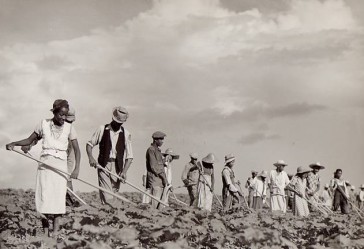 farmer farmer 364x249 PLEASE READ...and ACT ON