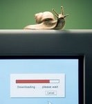 snailmyx