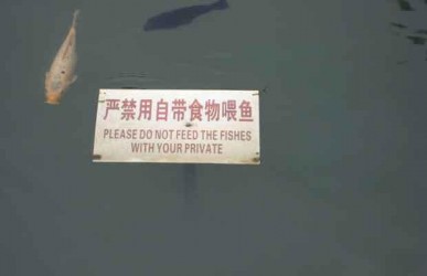 do dangling of bait