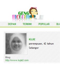 makcik cleaner makcik cleaner 233x250 GengBlogger Perkembangan Dunia Blog