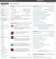 Dashboard wp Dashboard wp1 237x250 Dashboard wp