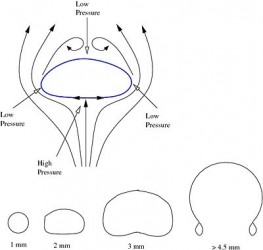RaindropShape 263x250 Airmata Mama