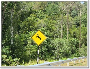 sighboard rusa