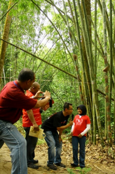 intan bapa gulagula