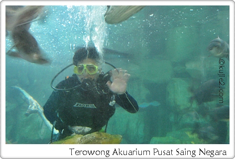 akuarium pusat sains negara Rock Music Di Pusat Sains Negara 