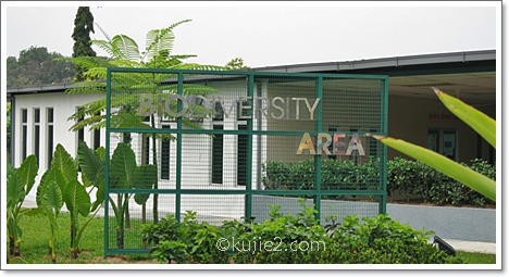 biodiversity Rock Music Di Pusat Sains Negara 