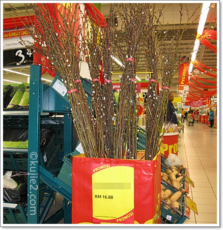 dekorasi cny tesco dekorasi cny tesco Macam Ranting Cuba Teka