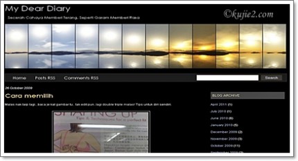 My Dear Diary 430x233 Gambar :  Cara Memilih Dan Mencuba Coli Yang Sesuai