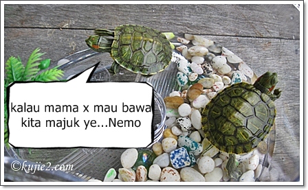dori dan nemo dori dan nemo Jangan Tinggal Daku