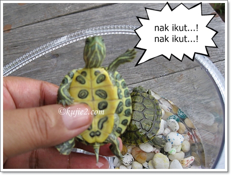 nak ikut nak ikut Jangan Tinggal Daku