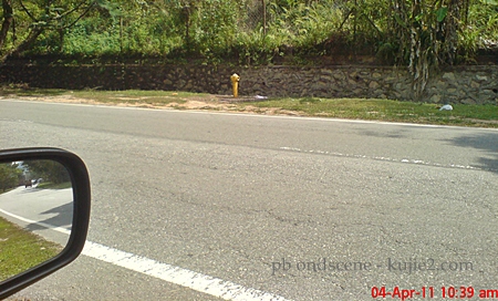 poli bomba kuning poli bomba kuning Pili Bomba Ching Ming