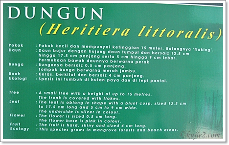 untuk orang Dungun Untuk Orang Dungun