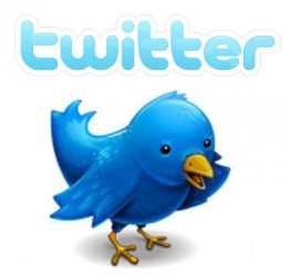 icon twitter 262x250 Ketahui Usia Burung Biru Anda