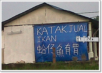 katak dan ikan katak dan ikan Wordless Wednesday Katak Oh Katak
