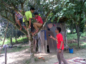 panjat pokok panjat pokok Satu Hari Seribu Kenangan