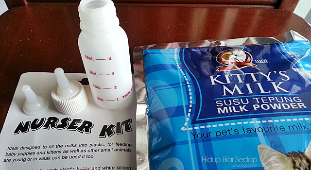 susu untuk anak kucing