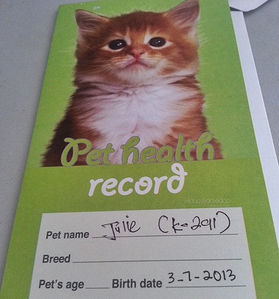 kad rawatan kucing di klinik haiwan